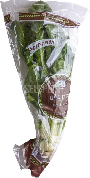 מנגולד-סלק עלים ארוז