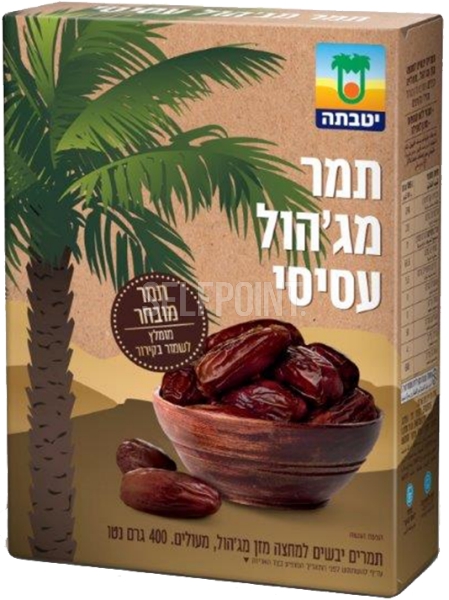תמר מג'הול עסיסי