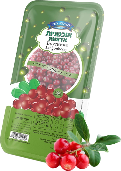 אוכמניות אדומות 300
