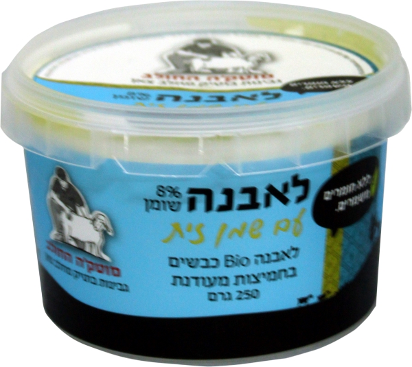 מוטק`ה לאבנה כבשים