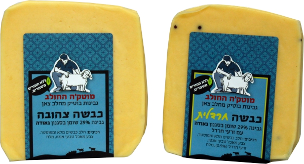 גבינה בסגנון גאודה כבשה צהובה 29%