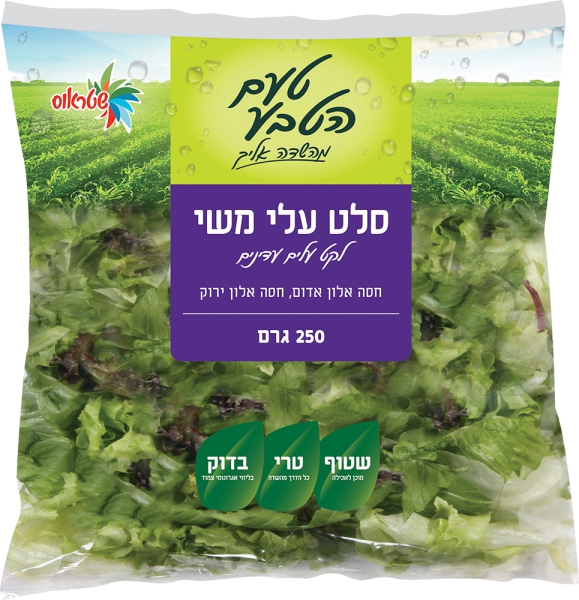 לקט עלי משי