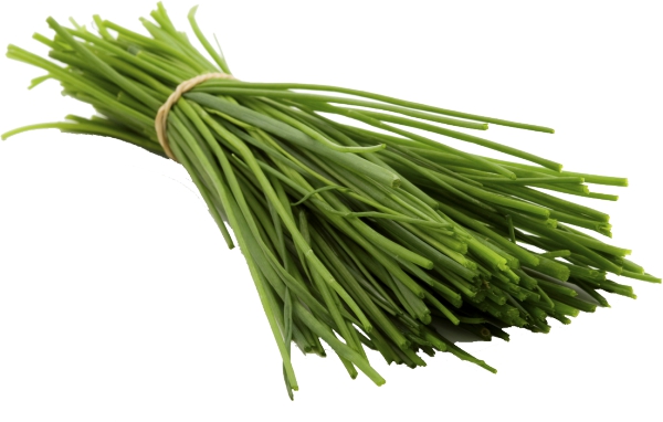 עירית רמי לוי