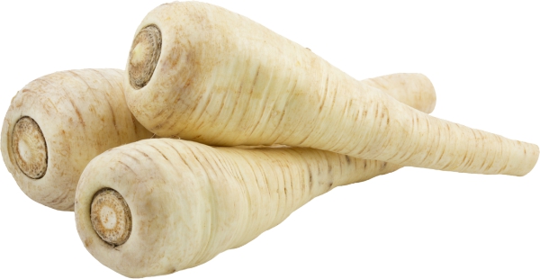 שורש פטרוזיליה