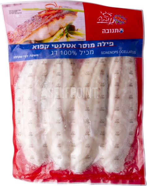 פילה מוסר קפוא 100% דג לק"ג