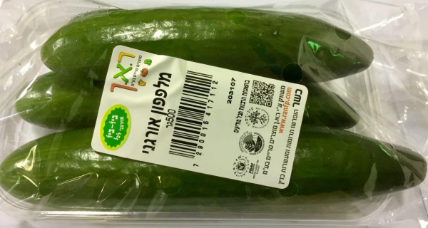 מלפפון אורגני ארוז