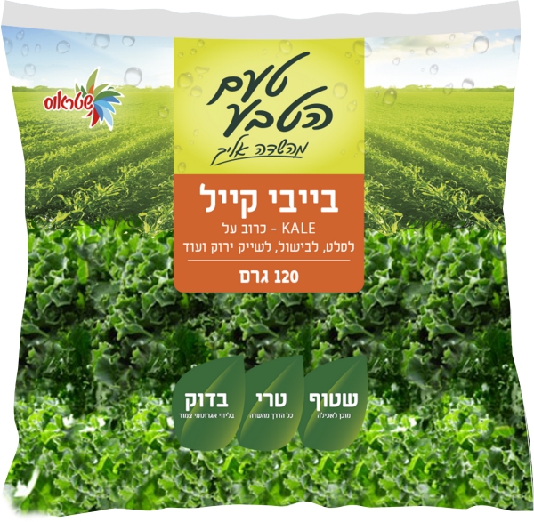 עלי בייבי קייל