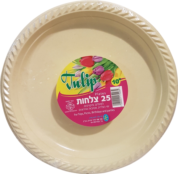 צלחת 10" ענק צבעוני 25 יח