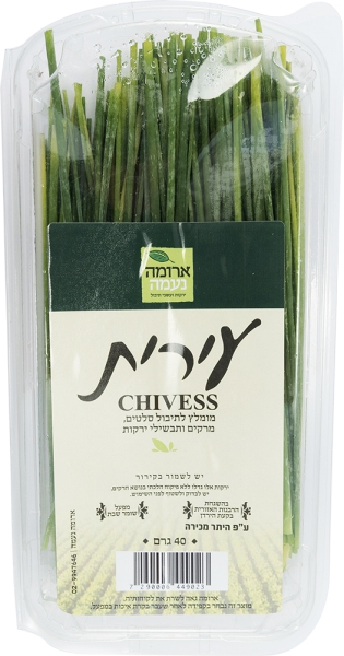 עירית