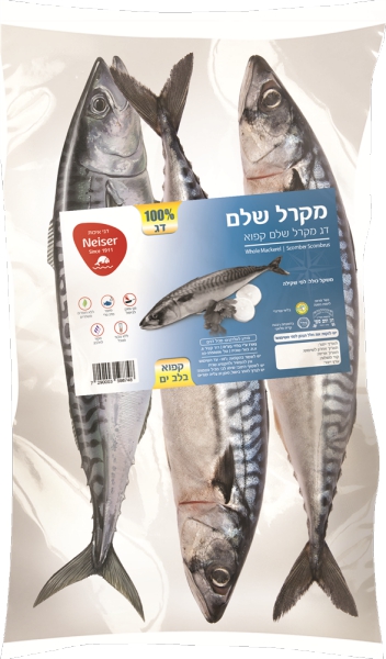 מקרל נורבגי שלם ארוז
