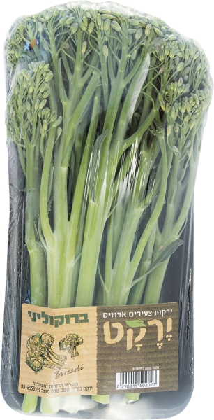 ברוקוליני