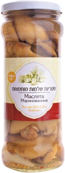 פטריות שלמות מוחמצות סואילוס
