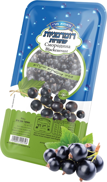 דמדמניות שחורות 300