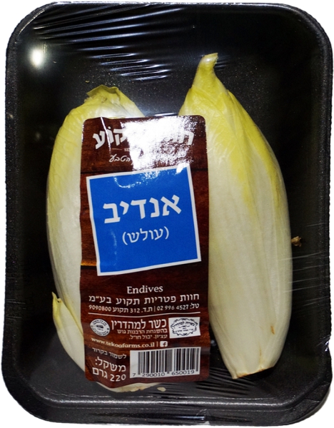 אנדיב
