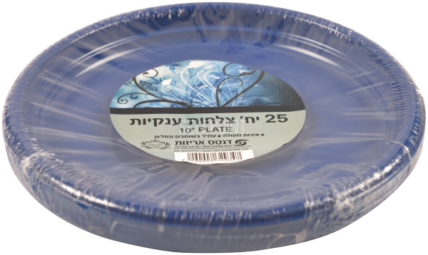 צלחות ענקיות