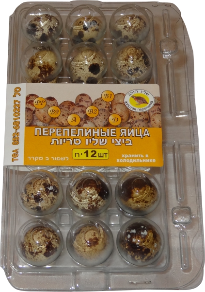 ביצי שליו 12 יח