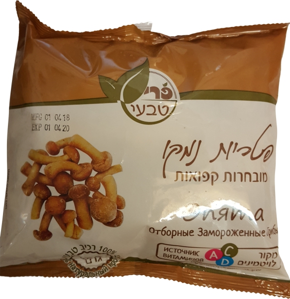 פטריות נמקו