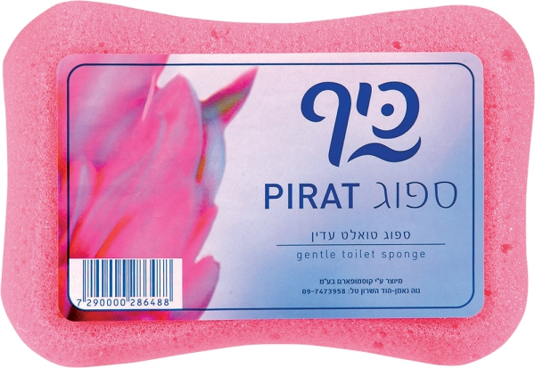ספוג פיראט