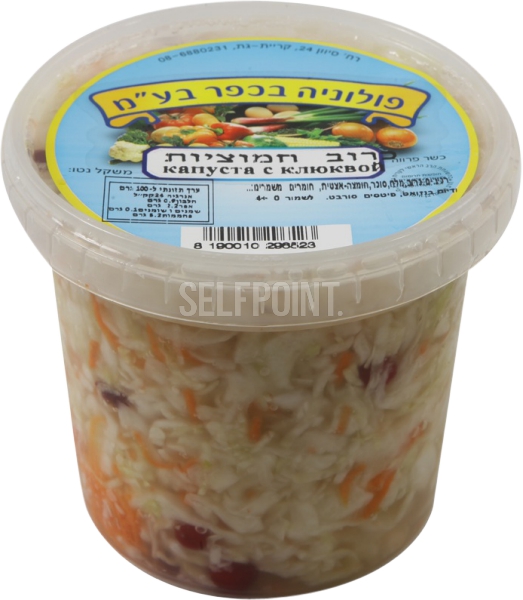 סלט כרוב חמוציות