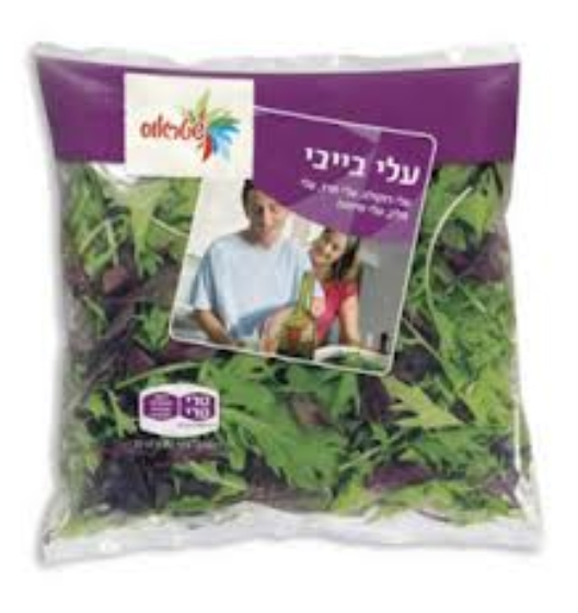 מלפפון בייבי טרי ארוז
