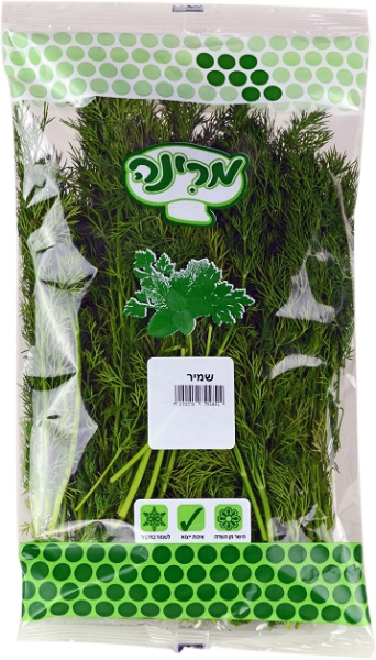 שמיר