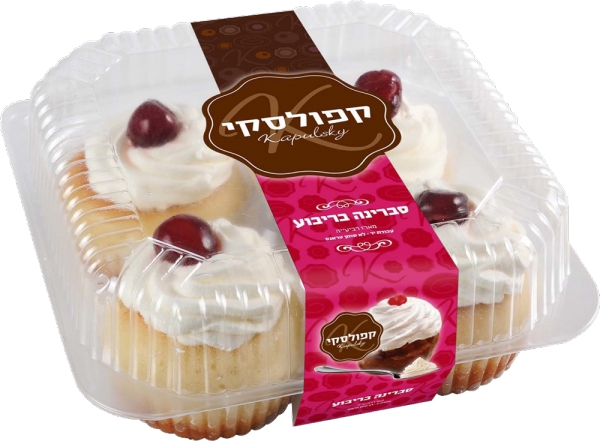 סברינה 4 יחידות