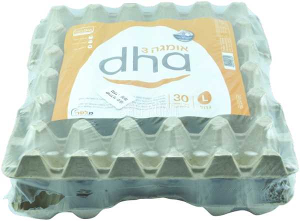 ביצים אומגה 3 L