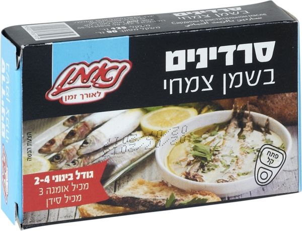 סרדין בש.חמניה124ג נאמן