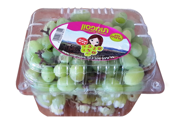 ענבים תומפסון