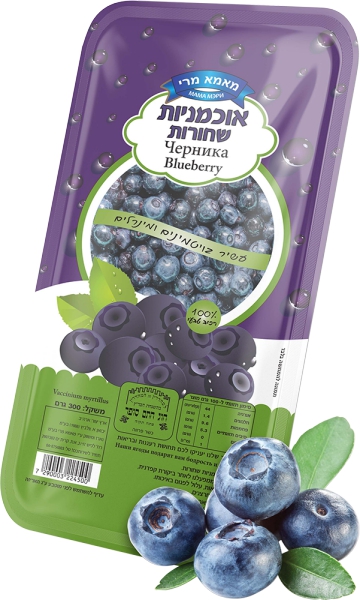 אוכמניות שחורות