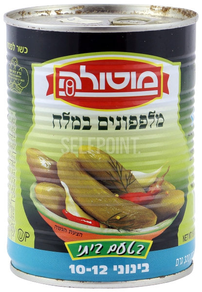מלפפונים במלח בינוני 10-12 רמי לוי