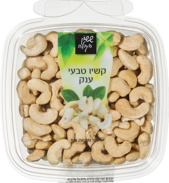 קשיו טבעי גדול  250 גר