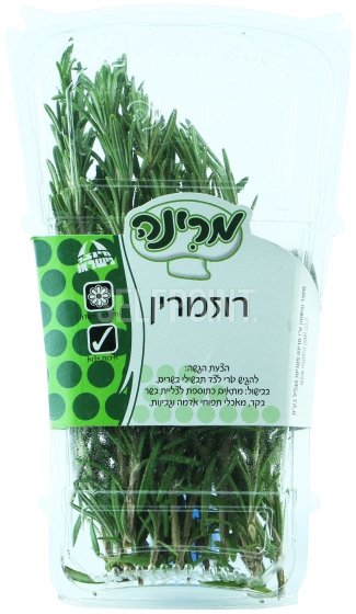 רוזמרין