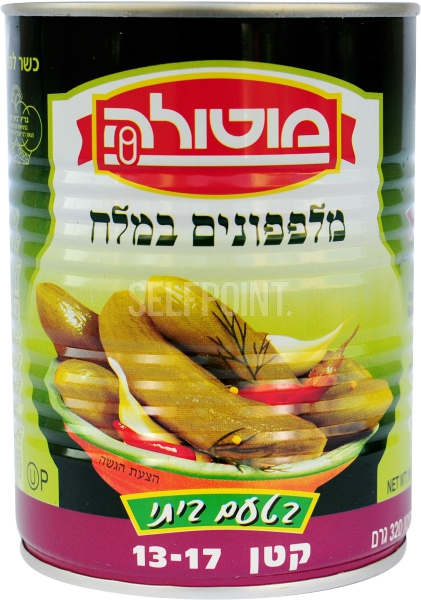 מלפפון במלח 13-17 מו