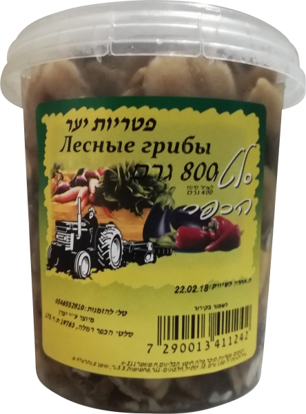 פטריות יער