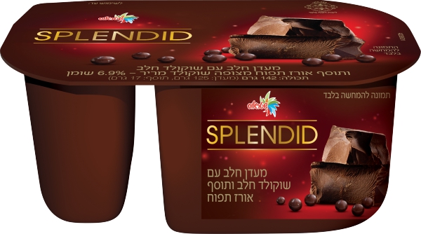 ספלנדיד מעדן חלב עם שוקולד חלב ותוסף דגנים 6.9%
