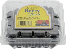 Blueberries