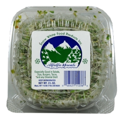 Alfalfa Sprouts