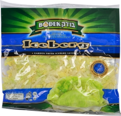 Iceberg