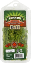 Greenhouse Grown Dill