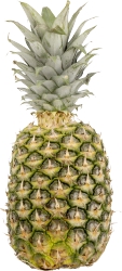 Pineapple, Dole #6