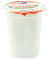 Yogurt E'shel