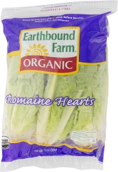 Organic Romaine Hearts