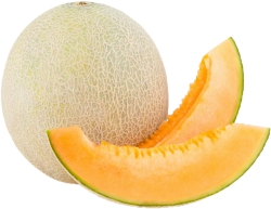 Canteloupe,Mag Melon