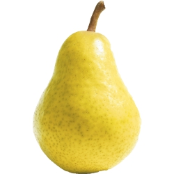 Bartlett Pears