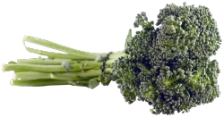 Broccoli,Baby Sweet