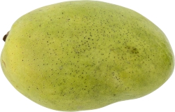 Haitian Mango