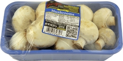 Fresh Mushrooms