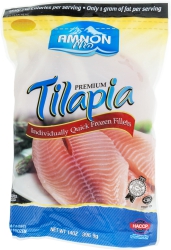 Tilapia Fillet