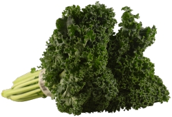 Fresh Kale